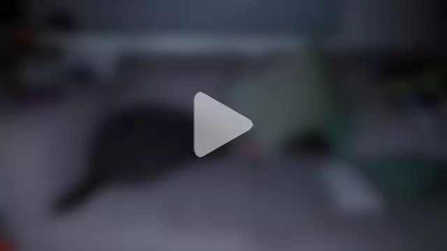 hongkong_thong_lover photo 4