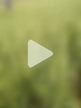 hornycouple20000 photo 18