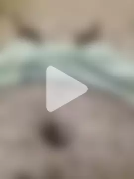 hot23kolkata photo 16