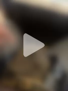 hotboy43339 photo 13