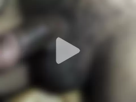 hotman69hotman69 photo 27