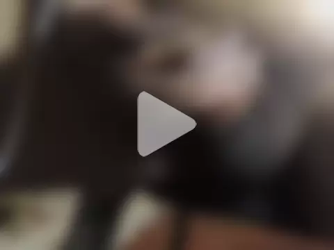 hotman69hotman69 photo 19