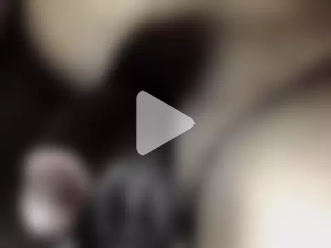 hotman69hotman69 photo 2