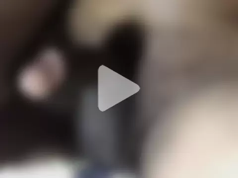 hotman69hotman69 photo 28