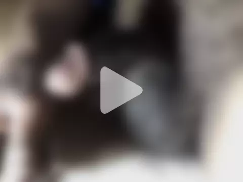 hotman69hotman69 photo 18