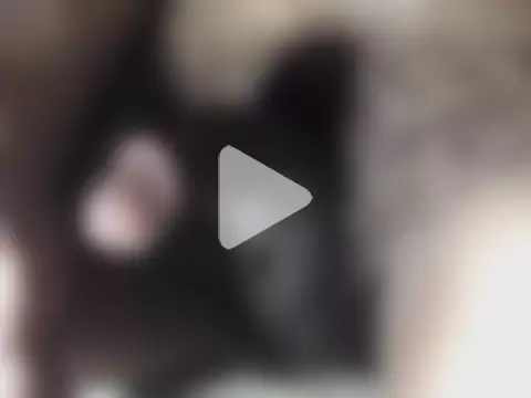 hotman69hotman69 photo 12