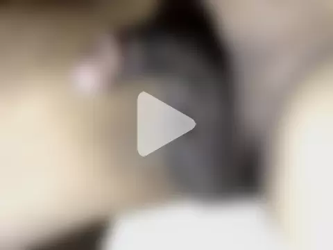 hotman69hotman69 photo 3