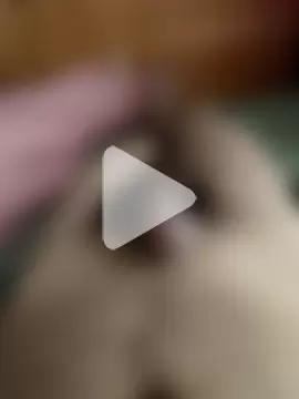 huanhuanaaaaa photo 8