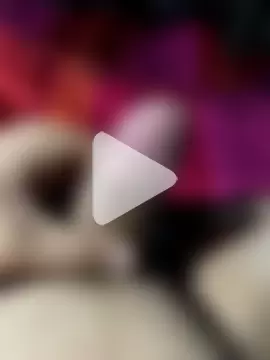 hungarianbi90 photo 11