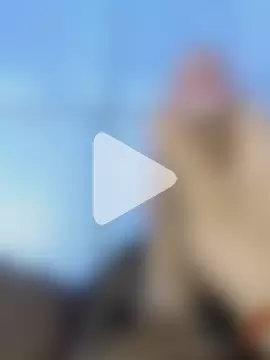 hyderabadmaleee photo 3