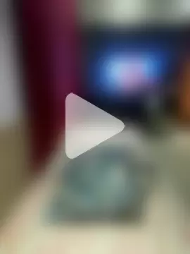 iarinhalatina photo 4