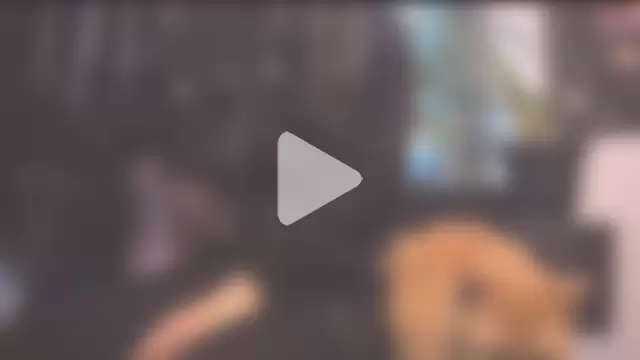 incognimeow photo 21