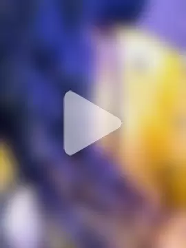 indian_passion photo 2