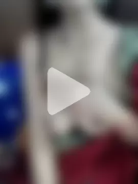 indian_yourshreya69 photo 5