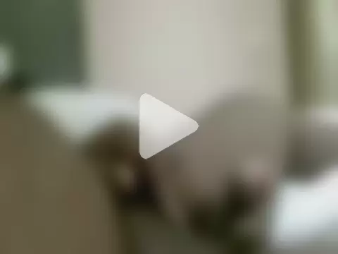 indiancock86 photo 12