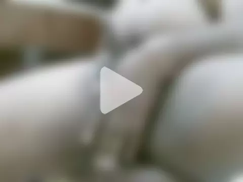 indiancock86 photo 6