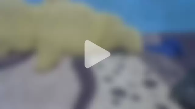 indiangeni20 photo 16