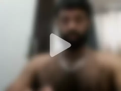 indianhairybull photo 5