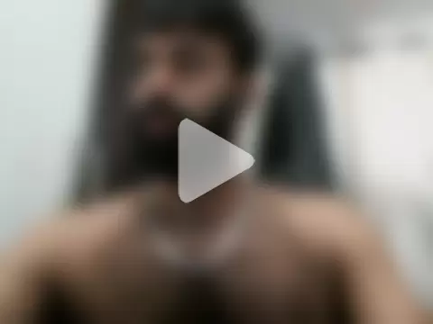 indianhairybull photo 1