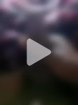 indianpink_hub photo 1