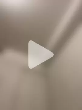 islandvybee55 photo 17