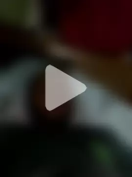 islandvybee55 photo 1