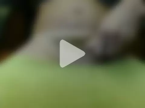 italian_max_sex photo 30