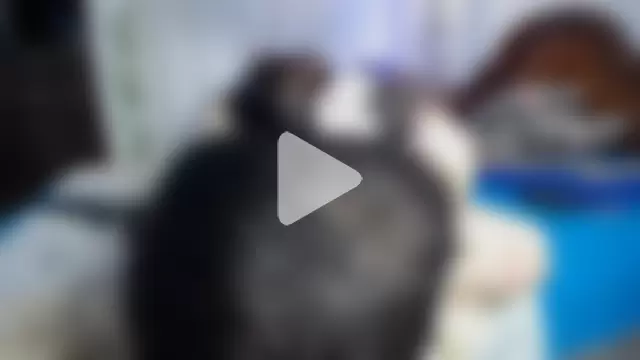 ivonne__hott1 photo 13