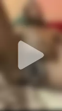 jabulani2600 photo 16