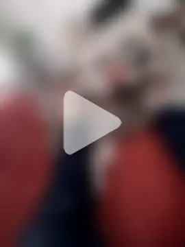 jacaranduba07 photo 6