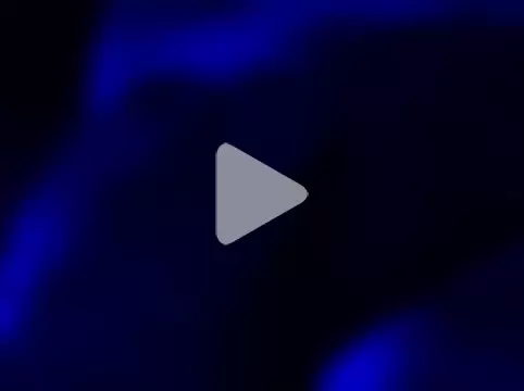 jacaranduba07 photo 5