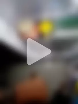 jacaranduba07 photo 3