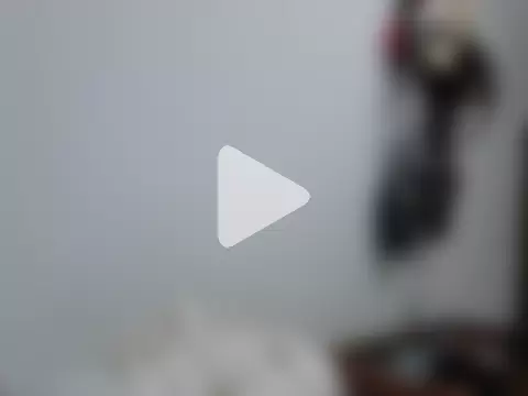 jackbigcock11 photo 7