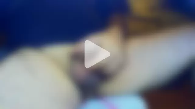 jackhalooween photo 12