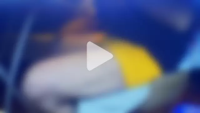 jackhalooween photo 7