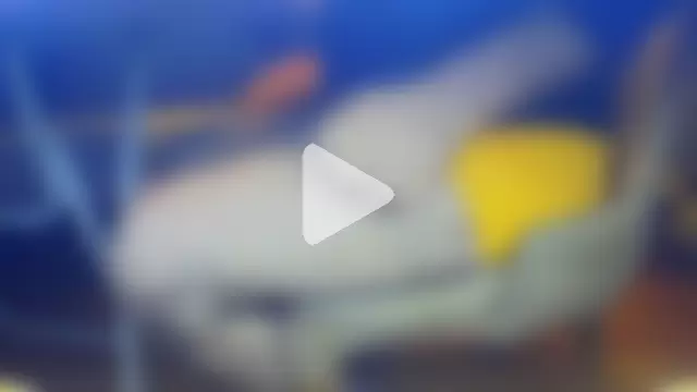 jackhalooween photo 3