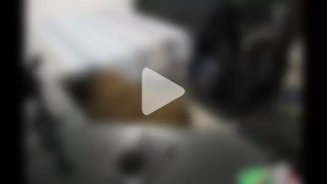 jamalcarter photo 12