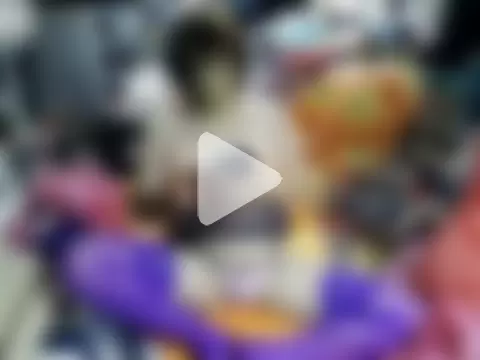 jamescheng27390 photo 10