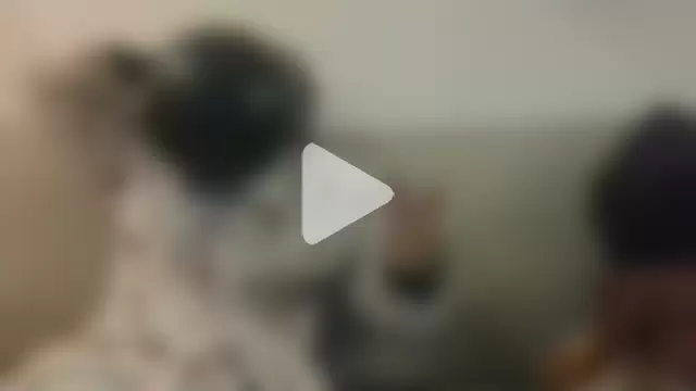 jasminestripper photo 4