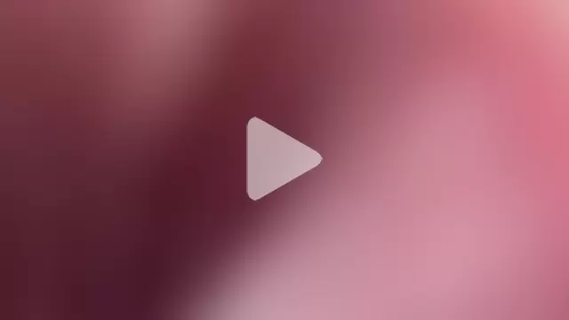 jasminevine photo 16