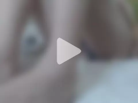 jelobernardo photo 21