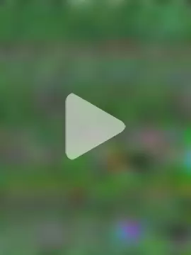 jerry_03467 photo 20