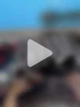 jerry_03467 photo 14