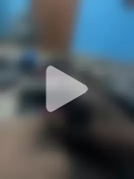 jerry_03467 photo 11