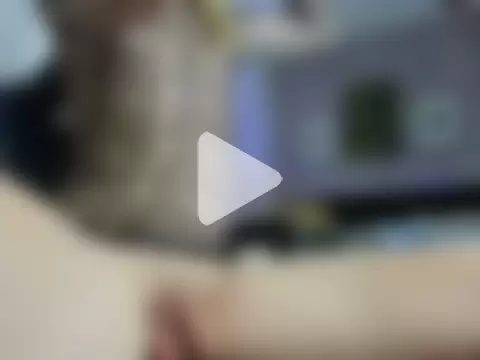 jessicaJonss photo 28