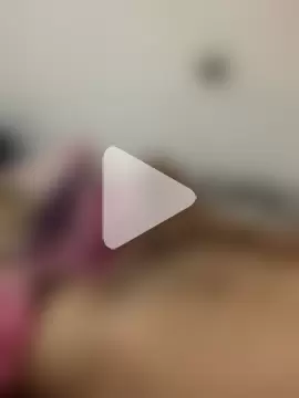 jesusthedonkey photo 1