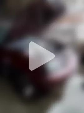 jesusthedonkey photo 4