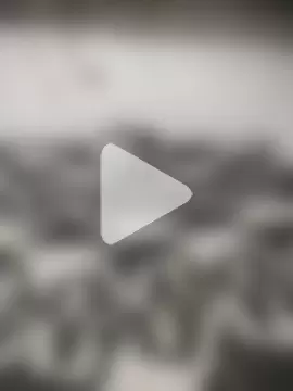 jesusthedonkey photo 2