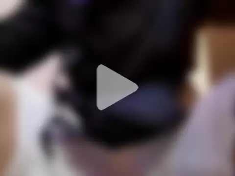 jhonny_thes28 photo 20