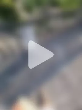 jonidasindias photo 3